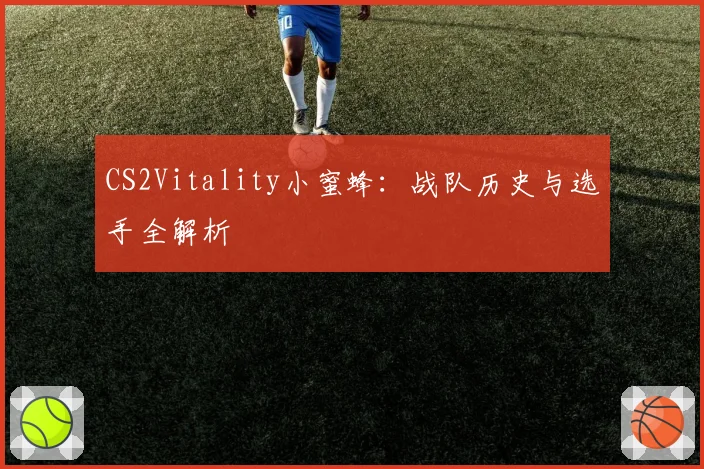CS2Vitality小蜜蜂：战队历史与选手全解析