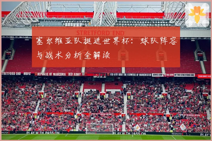塞尔维亚队挺进世界杯:球队阵容与战术分析全解读