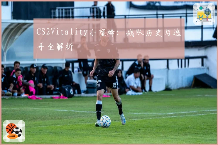 CS2Vitality小蜜蜂：战队历史与选手全解析