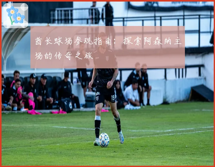 酋长球场参观指南:探索阿森纳主场的传奇之旅