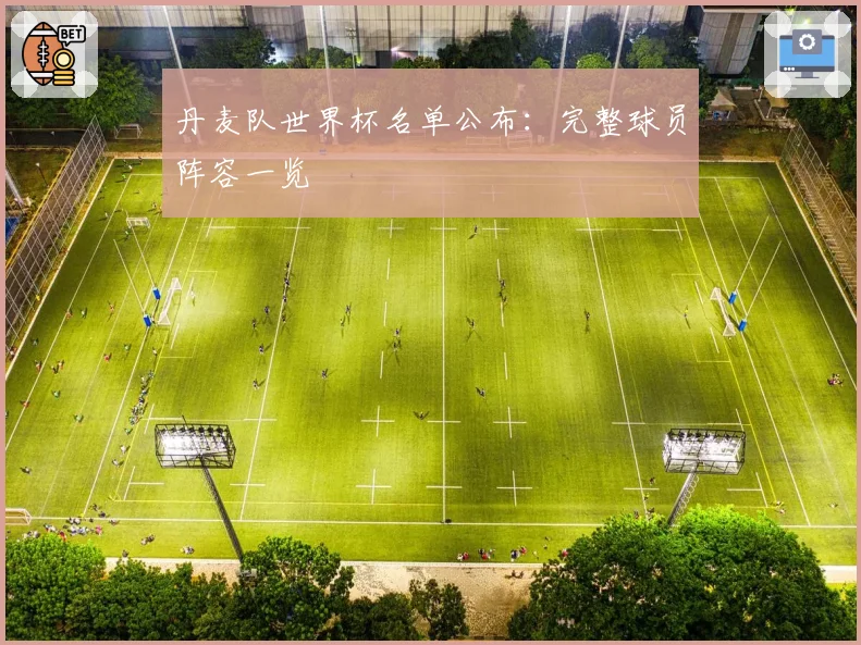 丹麦队世界杯名单公布：完整球员阵容一览