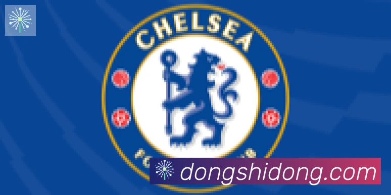 华体app登录入口合作伙伴